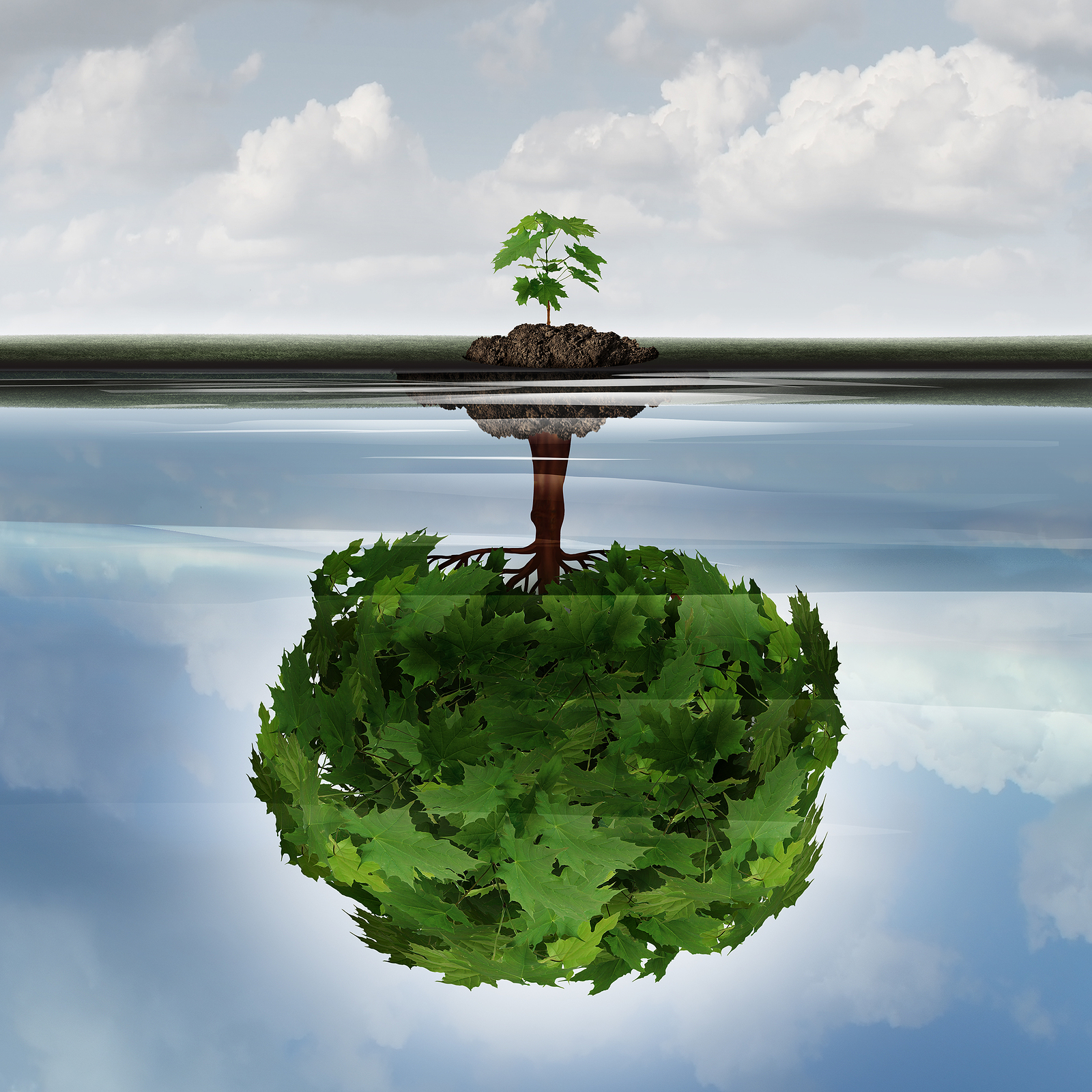 Jill-Hatcher-coaching-and-advisory0005 Potential success concept as a symbol for aspiration philosophy idea and determined growth motivation icon as a small young sappling making a reflection of a mature large tree in the water with 3D illustration elements.